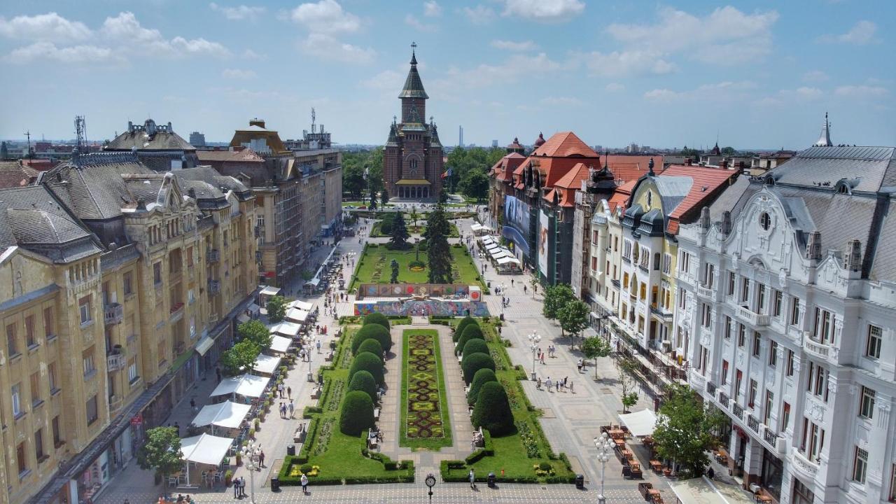 Asha * Timisoara